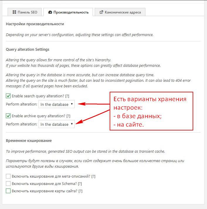 Настройки производительности в SEO Framework