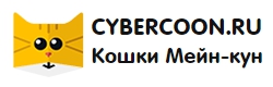 cybercoon
